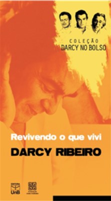 Revivendo o que vivi - Coleção Darcy Vol. 4