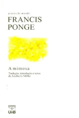 A mimosa