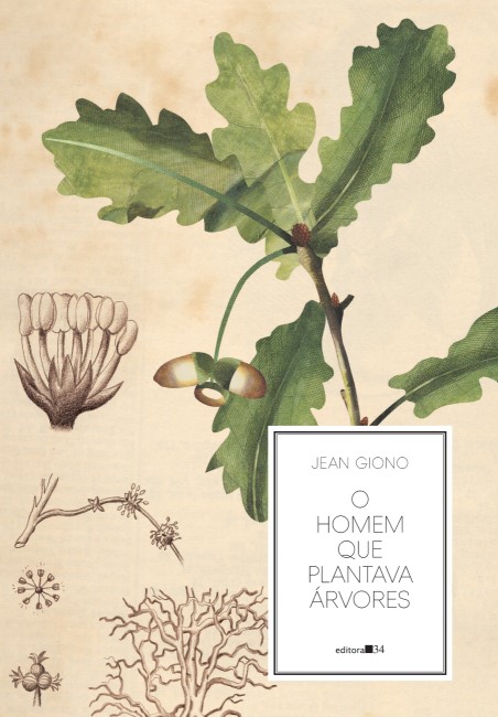 O homem que plantava árvores